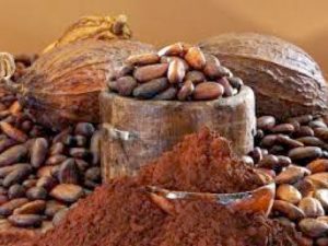 Cocoa Beans (raw) 75 kgs (Sold Per MT) - Image 2