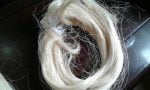 Sisal Fiber (per MT) - Image 4