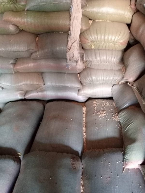 Soybeans Non-GMO  per MT - Image 16