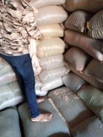 Soybeans Non-GMO  per MT - Image 14