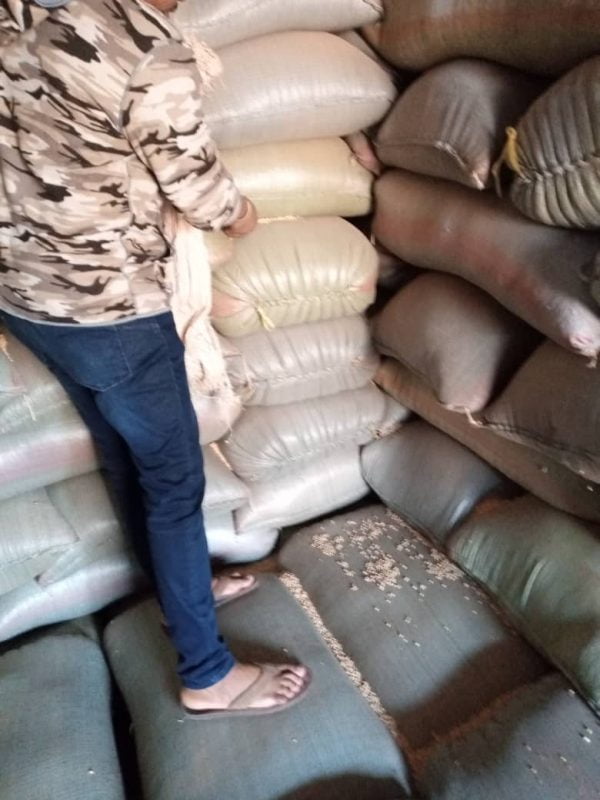 Soybeans Non-GMO  per MT - Image 14