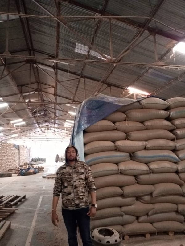 Soybeans Non-GMO  per MT - Image 13