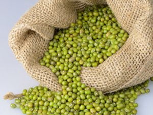 Go Africa® Green Mung Beans, 50kg Bags (Sold per MT) - Image 5