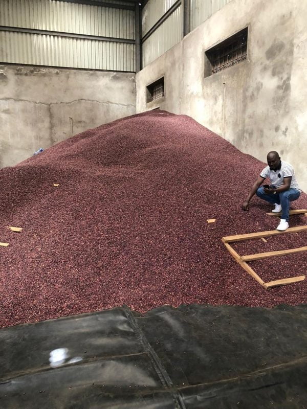 Kidney Beans Per MT - Image 9