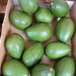 Avocados per MT (Kenya) - Image 4