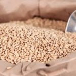 Whole Wheat Flour FOR BREAD : Sold  Per MT - Image 4