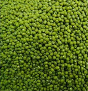 Go Africa® Green Mung Beans, 50kg Bags (Sold per MT) - Image 4