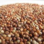 Sorghum for Animal Feed 50kgs  Bags (Sold per Per MT) - Image 4