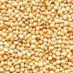 Sorghum for Animal Feed 50kgs  Bags (Sold per Per MT) - Image 5