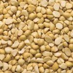 Macadamia Nuts: Halves, Raw Per MT - Image 3
