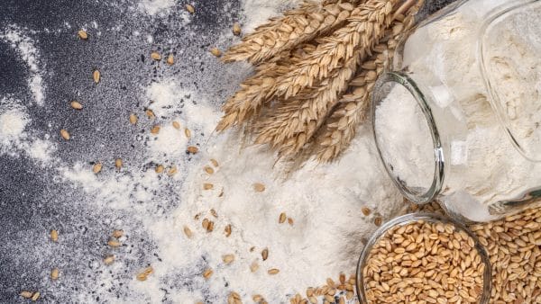 Go Africa® Wheat Flour, 25 Kgs Bags (Sold Per MT) - Image 5