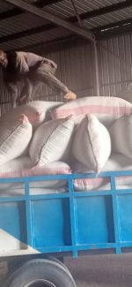 Rice Milling Services - Image 3